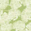 Del Coco Sheer Fabric-50800933