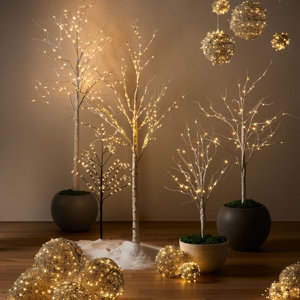Holiday Lights