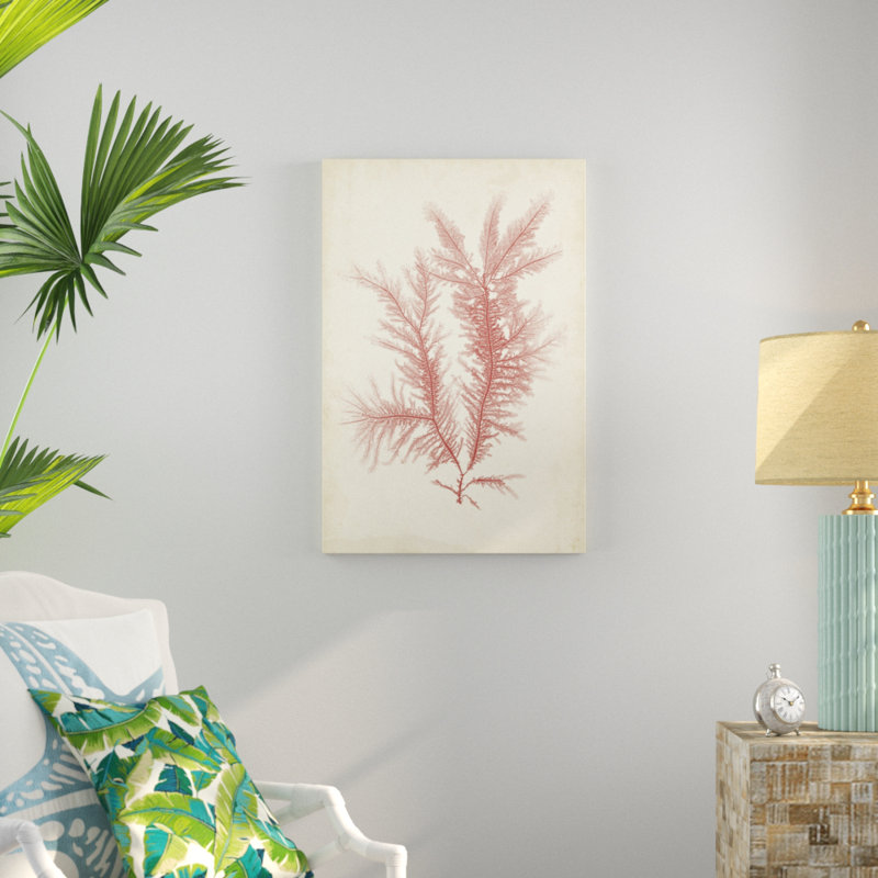 Coral Sea Feather II, peinture sur toile, H 36 po x l 24 po