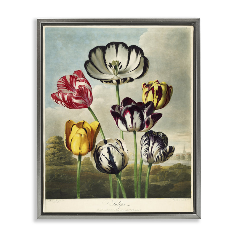 Tulipes du temple, cadre flottant, design par Print Collection, H 21 po x l 17 po, Cadre flottant gris lustré