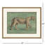 Equestrian II Framed Print