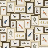 Picture Gallery Wallpaper