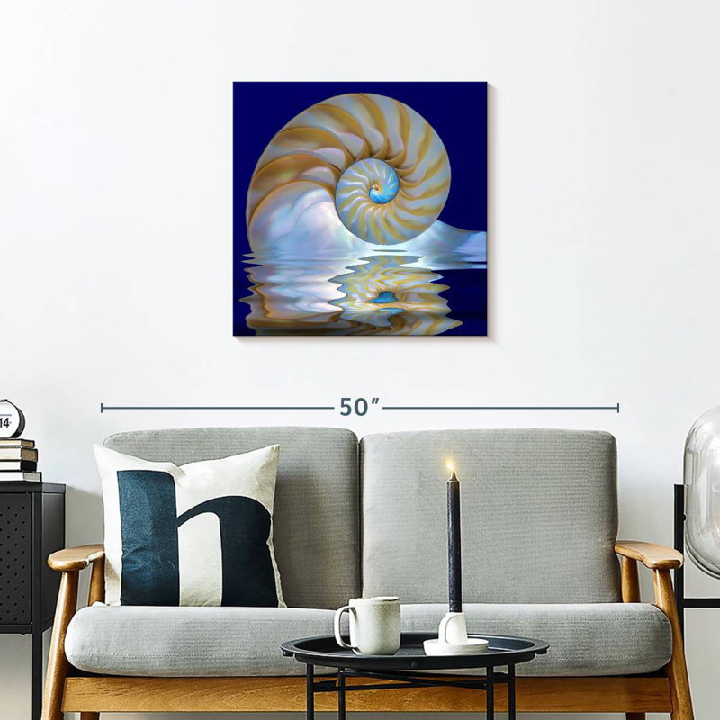 Aletra Nautilus Shell On Water