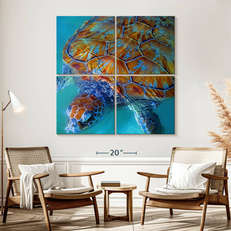 Brampt Cayman Sea Turtle, 57" H x 57" W