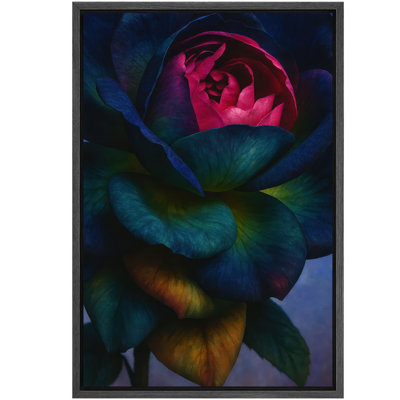 Dark Rose Floral Bloom Deep Jewel Tone Art – Pictures Framed Canvas Print Wall Art