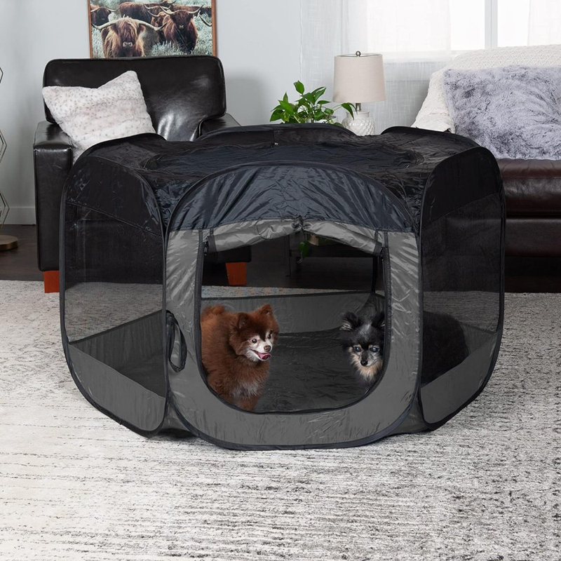 Tente portative pour chat, aire de jeu pour animaux de compagnie / chenil