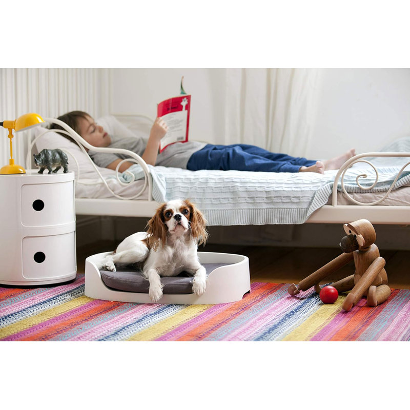Pet Bed
