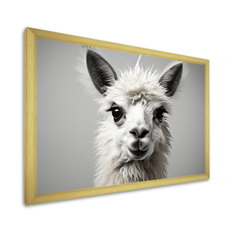 " Grey Llama Gentle Llama ", H 24 po x l 32 po x P 1 po, Cadre doré à une seule photo