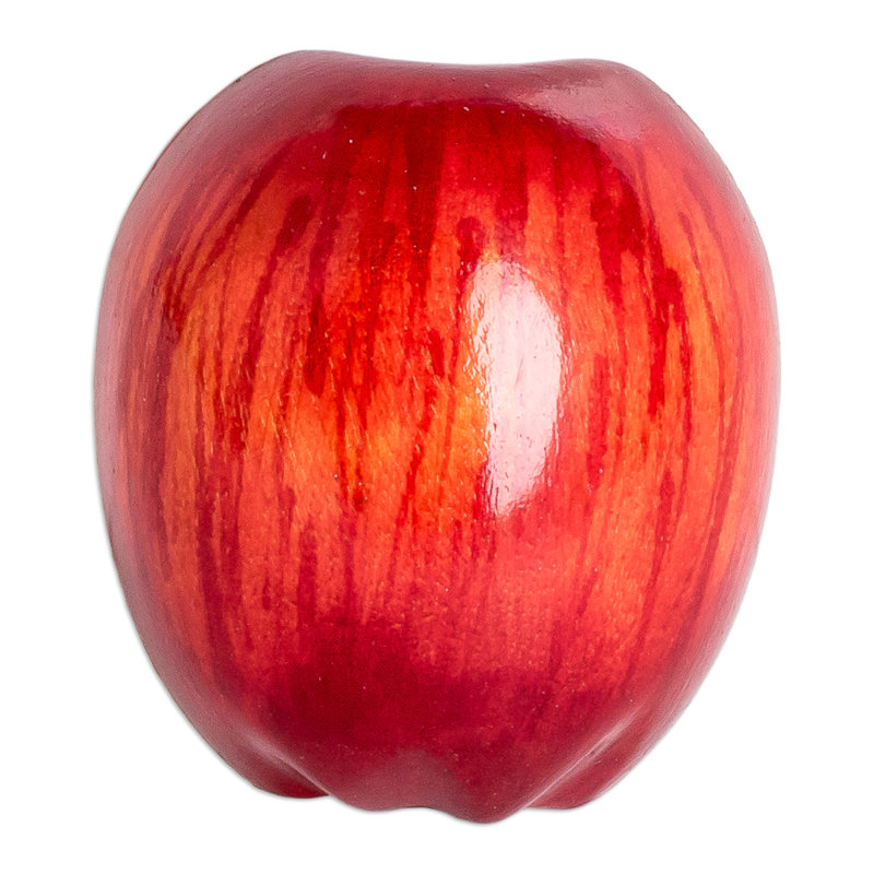 Aimant en bois de pomme guatémaltèque fait à la main The Holiday Aisle®