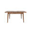 Prweitt Extendable Dining Table