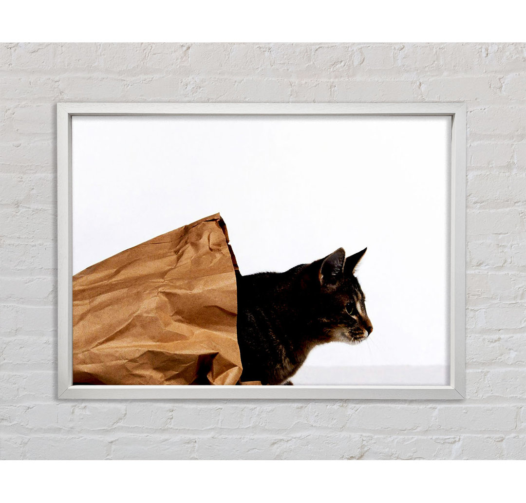 Cat In A Bag - Einzelner Bilderrahmen Kunstdrucke auf Leinwand