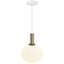 Alton 1 - Light Black/Brass Single Pendant