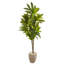 Arbre dracaena artificiel 55,5 po en pot