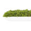 Moss 6" Artificial in Fiberstone Planter-1306519054-1306162796