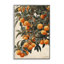 «Vibrant Orange Tree Blooms», art de la giclée encadrée par RB-111727781-107872904