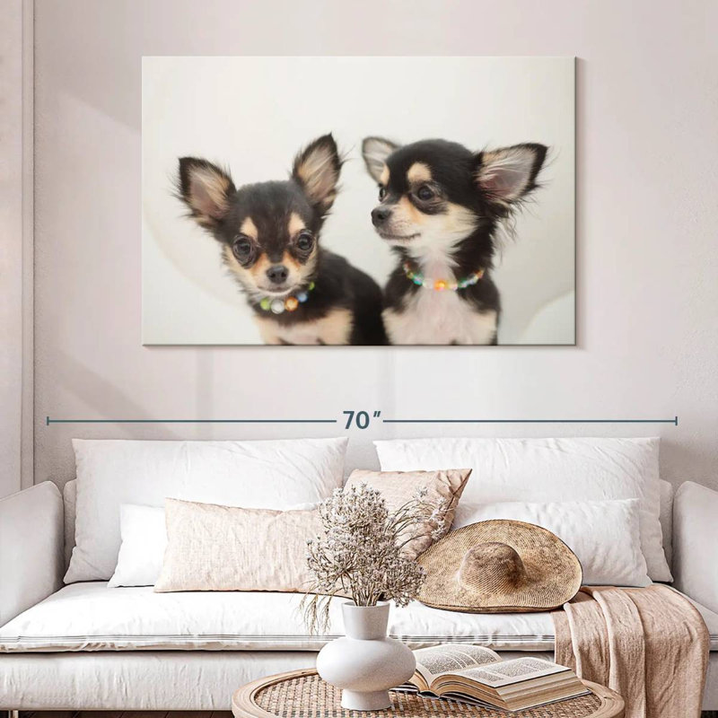 Chihuahua Duo, H 32 po x l 48 po