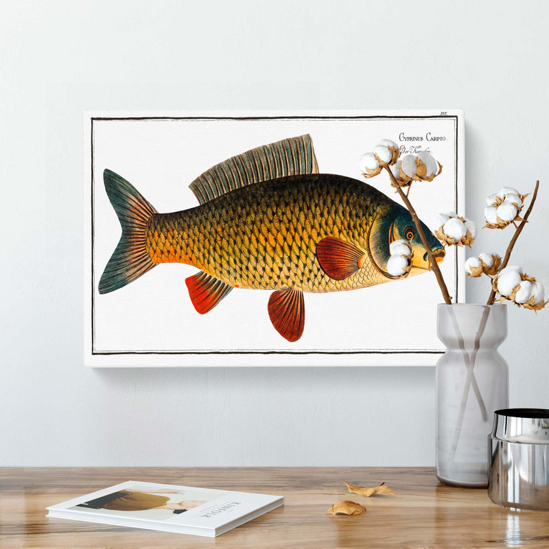 Carp Fish by M.E. Bloch - Wrapped Canvas, 60cm H x 91cm W x 3cm D