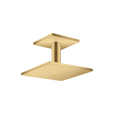 ShowerSolutions Square Showerhead 250 2-Jet Ceiling Connection