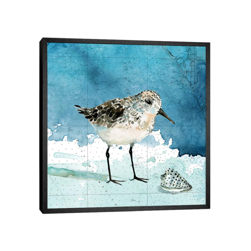 Bay Shore Sandpiper I by Carol Robinson - Print on Canvas, 66.04 cm H x 66.04 cm W, Black Framed