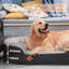 Lit pour chien ovale en mousse à mémoire de forme Tucker Murphy Pet ™, avec doublure imperméable et housse lavable amovible-95781338-95781284