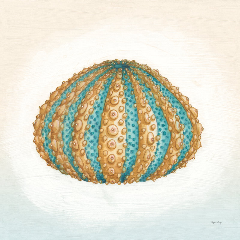 Boardwalk Urchin by Elyse DeNeige - Wrapped Canvas Painting, 122cm H x 122cm W x 3.8cm D