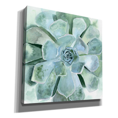 Red Barrel Studio® «Verdant Succulent III» par Victoria Borges_9788