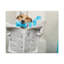 Jack Russell Terrier-1957038398