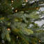 2.76' H Lighted Artificial Spruce Christmas Tree