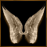 Wings Giclee On Canvas by Soicher Marin Archives