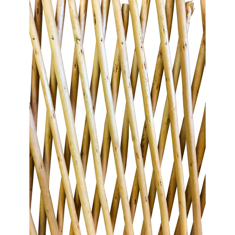48'' H x 72'' W Wood Expanding Trellis
