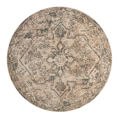 Mosely Oriental Indoor Rug
