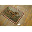 Hand Knotted Wool Animal Print Area Rug in Multicolored