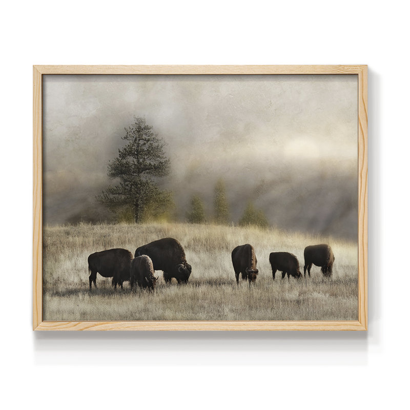 Ridge Grazing -Framed Print - Restickable, Naturel, H 8 po x l 10 po