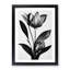 XV1022-2844X Monochrome Flower - Single Picture Frame Painting-1569468950-1569468945