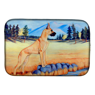 Drying Mat