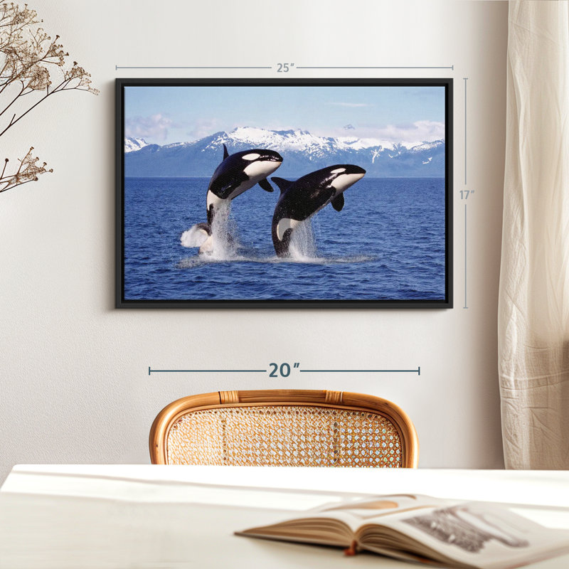 " Jumping Couple Orcas Wall Art ", 17" H x 25" W
