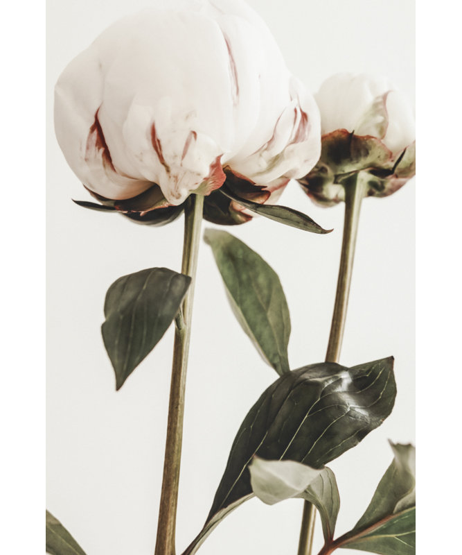 Wrapped Canvas Print, 81.28 cm H x 121.92 cm W