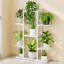 Plant Stand-1503916384