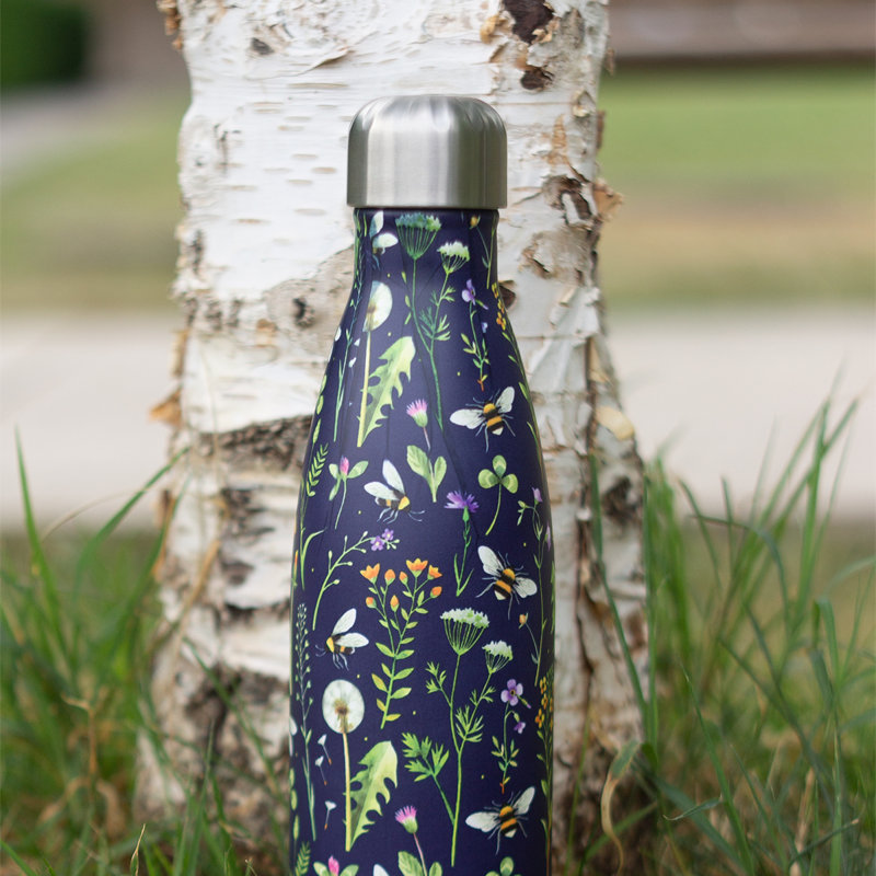 16,9 oz. WD Lifestyle Bouteille d'eau isolée en acier inoxydable