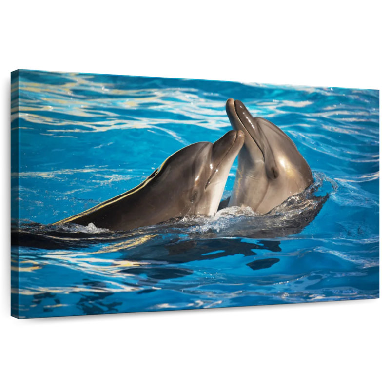 Bottlenose Dolphins, 24" H x 36" W