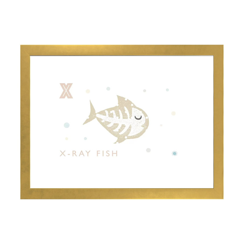 " Xray Fish ", Gold Framed Paper, White, 16" H x 24" W x 1" D