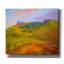  «Cascading Dream 6» par Dorothy Fagan, art mural sur toile, 30 po x 26 po-1540508704