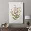 Vintage Floral Print CCCLXXII -Gallery Wrapped Cavas-2099782010