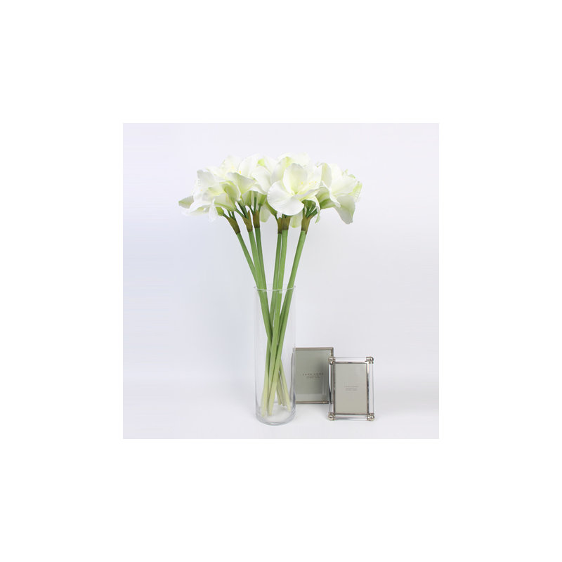 Tige orchidée clivia, 3 tiges, blanc