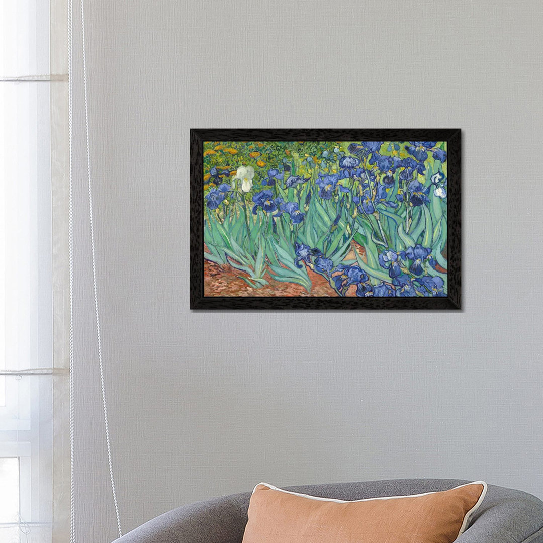 Irises, 1889 by Vincent Van Gogh - Painting Print on Canvas