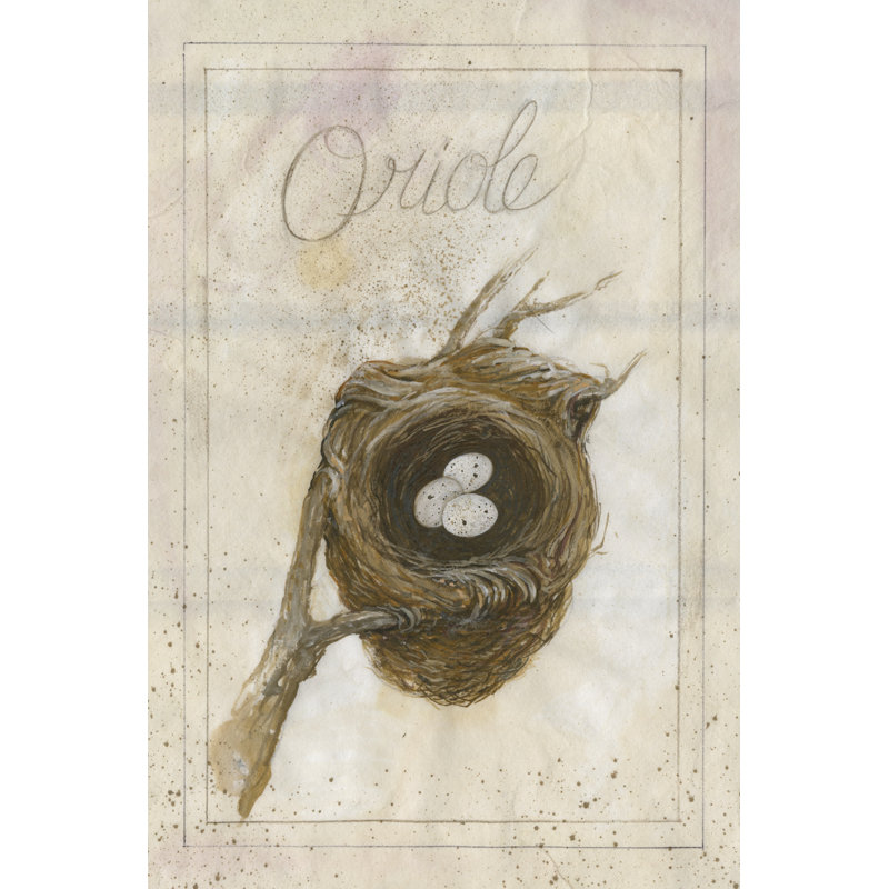Nest - Oriole - Wrapped Canvas Print, 46cm H x 30cm W