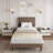 Twin Upholstered Platform Bed Frame, Fabric Headboard, Metal Frame with Wooden Slats, Twin Size, Modern Bedroom Use ,Black-1650802872-1650802873