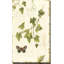 Ivies and Ferns II - Peinture-803649480-773136360