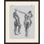 Figure Study 3' Framed Print on Glass
