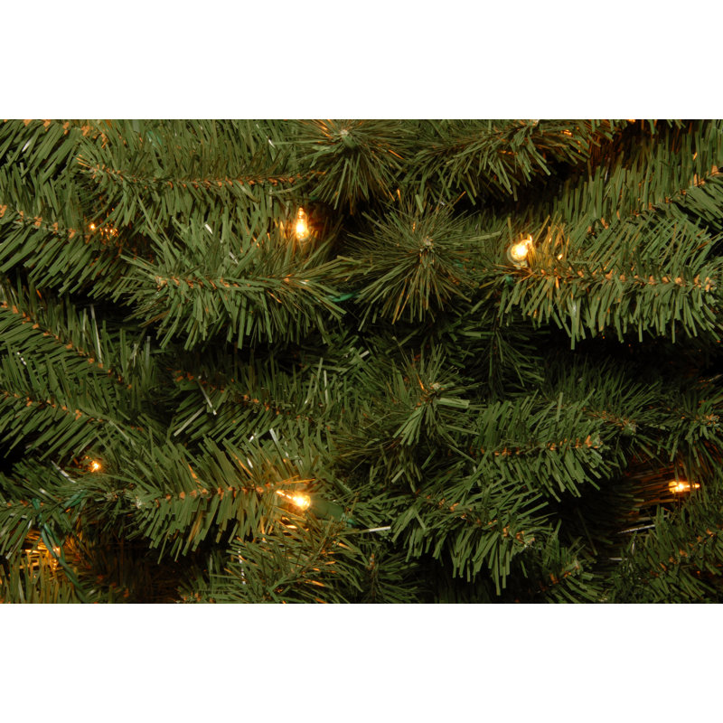 Canadian Grande Fir Tree with Multicolor Lights, 6' H